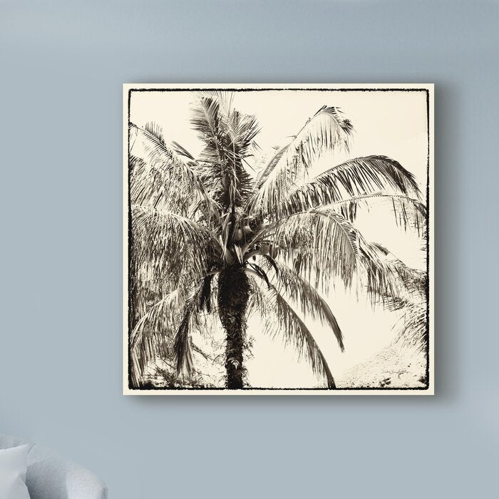 'Palm Tree Sepia III' Graphic Art Print on Wrapped Canvas 24