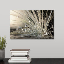Load image into Gallery viewer, 30x20 Black; Gray; Beige &#39;Pearls by Maryam Zahirimehr Photographic Print (SB29)
