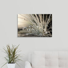Load image into Gallery viewer, &#39;Pearls by Maryam Zahirimehr Photographic Print (16&quot; H x 24&quot; W x 1.5&quot; D Black; Gray; Beige ) - 714CE
