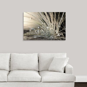 'Pearls by Maryam Zahirimehr Photographic Print 305CDR