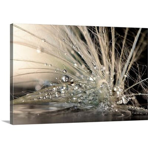 'Pearls by Maryam Zahirimehr Photographic Print (16" H x 24" W x 1.5" D Black; Gray; Beige ) - 714CE