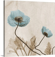 Load image into Gallery viewer, &#39;Poppy X-Ray by Albert Koetsier Photographic Print (ND31)
