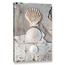 Load image into Gallery viewer, &#39;Seashells II&#39; Photographic Print on Wrapped Canvas 189ms
