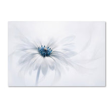 Load image into Gallery viewer, &#39;Serenity&#39; - Photographic Print On Canvas ( AP582 )

