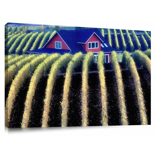 'Sokol Blosser Vineyards in Fall Color and House Top' Photographic Print on Canvas 3237RR