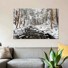 Load image into Gallery viewer, 12&quot; H x 18&quot; W x 0.75&quot; D Black/White &#39;Stream in Winter, Nova Scotia, Canada - Horizontal&#39; Photographic Print on Canvas (ND130)
