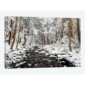12" H x 18" W x 0.75" D Black/White 'Stream in Winter, Nova Scotia, Canada - Horizontal' Photographic Print on Canvas (ND130)