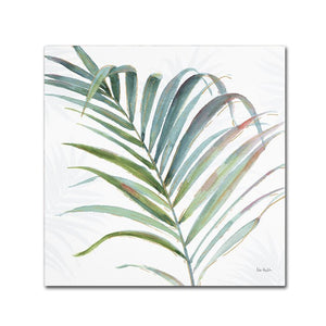 'Tropical Blush V' Print on Wrapped Canvas 18" H x 18" W #1476HW