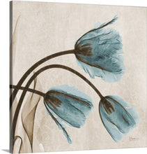Load image into Gallery viewer, 16&quot; H x 16&quot; W x 1.5&quot; D Beige/Blue &#39;Tulip X-Ray by Albert Koetsier Photographic Print (ND30)
