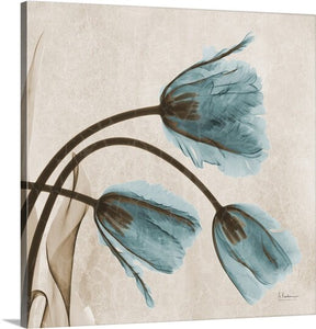 16" H x 16" W x 1.5" D Beige/Blue 'Tulip X-Ray by Albert Koetsier Photographic Print (ND30)