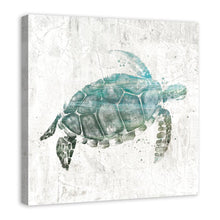 Load image into Gallery viewer, &#39;Turquoise Sea Turtle&#39; - Print on Canvas - 172DC
