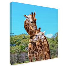 Load image into Gallery viewer, 35&quot; Two Giraffes Wildlife&#39; Photographic Print on Canvas (126MM)

