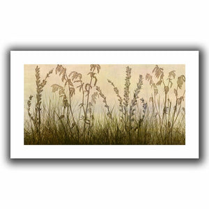 28" H x 52" W Brown/Olive Green/Beige 'Wildflowers Amber' by Cora Niele Graphic Art on Rolled Canvas GL1685