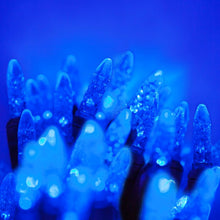Load image into Gallery viewer, 288&#39;&#39; LED String Lights
