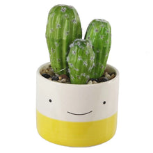 Load image into Gallery viewer, 2 - Piece Artificial Cactus Plant in Pot Set, 2 Boxes
