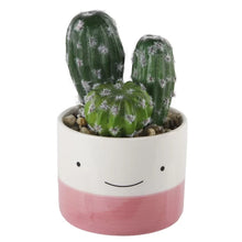 Load image into Gallery viewer, 2 - Piece Artificial Cactus Plant in Pot Set, 2 Boxes
