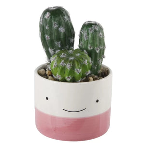 2 - Piece Artificial Cactus Plant in Pot Set, 2 Boxes