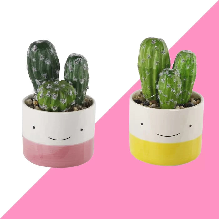2 - Piece Artificial Cactus Plant in Pot Set, 2 Boxes