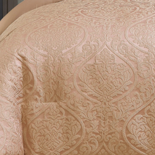 Load image into Gallery viewer, Wynne 10 pc Comforter Set - Blush - Queen 344AH
