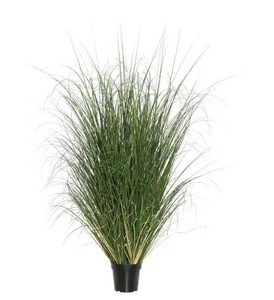 36 in. Green Curled Everyday Grass in Pot