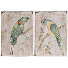 Load image into Gallery viewer, 2 Piece Parrot Wall Décor Set 1468CDR
