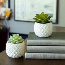 Load image into Gallery viewer, 2 Piece Pineapple Succulent Desktop Plant in Pot

