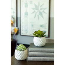 Load image into Gallery viewer, 2 Piece Pineapple Succulent Desktop Plant in Pot
