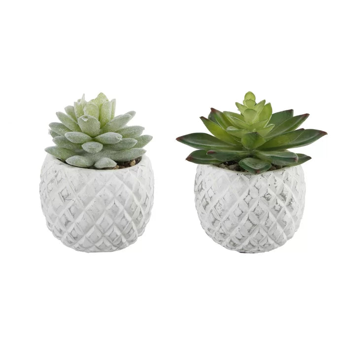 2 Piece Pineapple Succulent Desktop Plant in Pot
