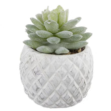 Load image into Gallery viewer, 2 Piece Pineapple Succulent Desktop Plant in Pot
