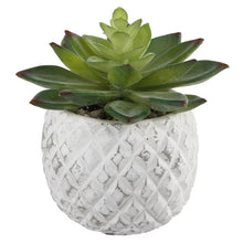 Load image into Gallery viewer, 2 Piece Pineapple Succulent Desktop Plant in Pot
