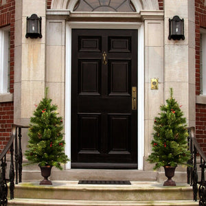 3.5' Green Fir Trees Artificial Christmas Tree with 50 Warm White Lights (Set of 2) MRM4159