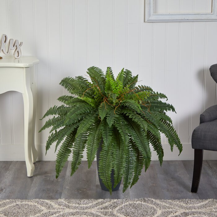 Faux Fern Plant in Clay Planter