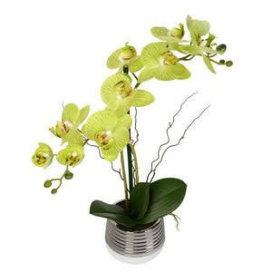 19.5" Indoor Artificial Green Phalaenopsis - Real Touch - Metal Pot - Premium Durable Plastic And Metal Arrangement - Maintenance Free
