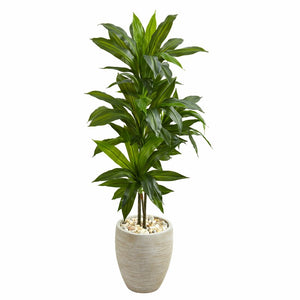 35.5" Artificial Foliage Plant in Planter