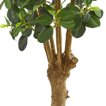 Load image into Gallery viewer, 36&quot; Artificial Ficus Tree in Planter (218MM)
