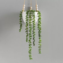 Load image into Gallery viewer, 39&quot; Artificial Succulent (SET OF 2)
