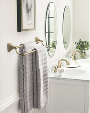 Load image into Gallery viewer, Amerock Clarendon 24" Double Towel Bar
