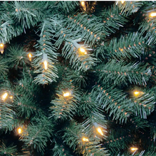 Load image into Gallery viewer, 7 ft. North Valley Spruce Blue Hinged Tree with 550 Clear Lights
