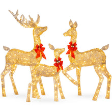 Load image into Gallery viewer, 3 Piece Christmas Deer Light Display Set
