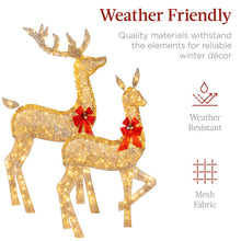 Load image into Gallery viewer, 3 Piece Christmas Deer Light Display Set
