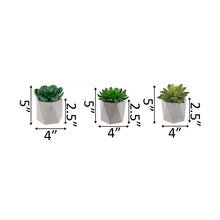Load image into Gallery viewer, 3 Piece Faux Cement Geo Agave Plant in Planter Set 3340AH/GL
