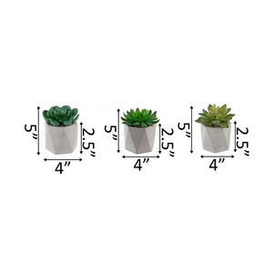 3 Piece Faux Cement Geo Agave Plant in Planter Set 3340AH/GL