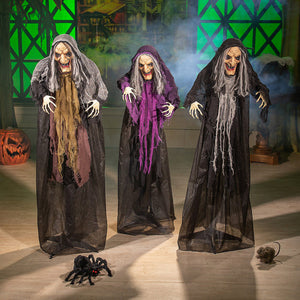 3 Piece Witches Garden Stake Set