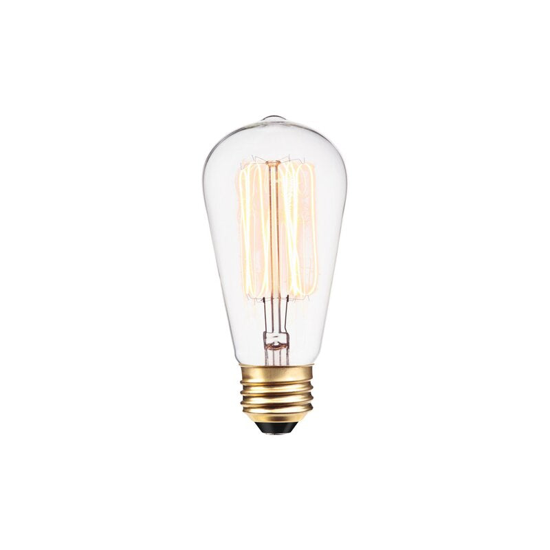 313242 40 Watt, A19 Incandescent Dimmable Light Bulb, Warm White (2700K) E26/Medium (Standard) Base (Set of 12) MRM4209