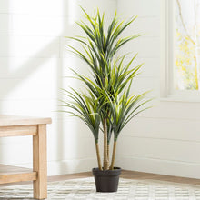 Load image into Gallery viewer, 40&#39;&#39; Yucca Foliage Plant in Pot 7628RR
