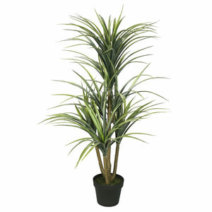 40'' Yucca Foliage Plant in Pot 7628RR