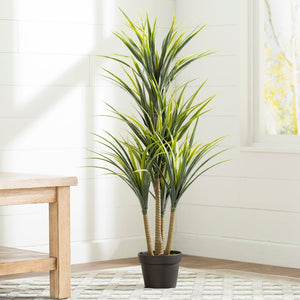 40'' Yucca Foliage Plant in Pot 7628RR