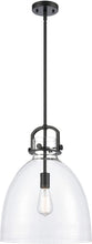Load image into Gallery viewer, Innovations Lighting Newton - 14&quot; One Light Mini Pendant, Matte Black Finish with Clear Dome Glass
