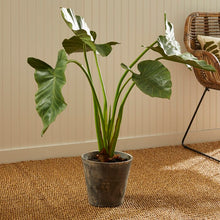 Load image into Gallery viewer, 42&quot; Artificial Elephant Ear Plant in Pot
