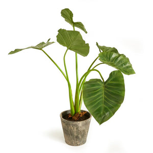 42" Artificial Elephant Ear Plant in Pot
